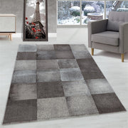 Wohnzimmerteppich Kurzflor Teppich Viereck Gitter Design Braun