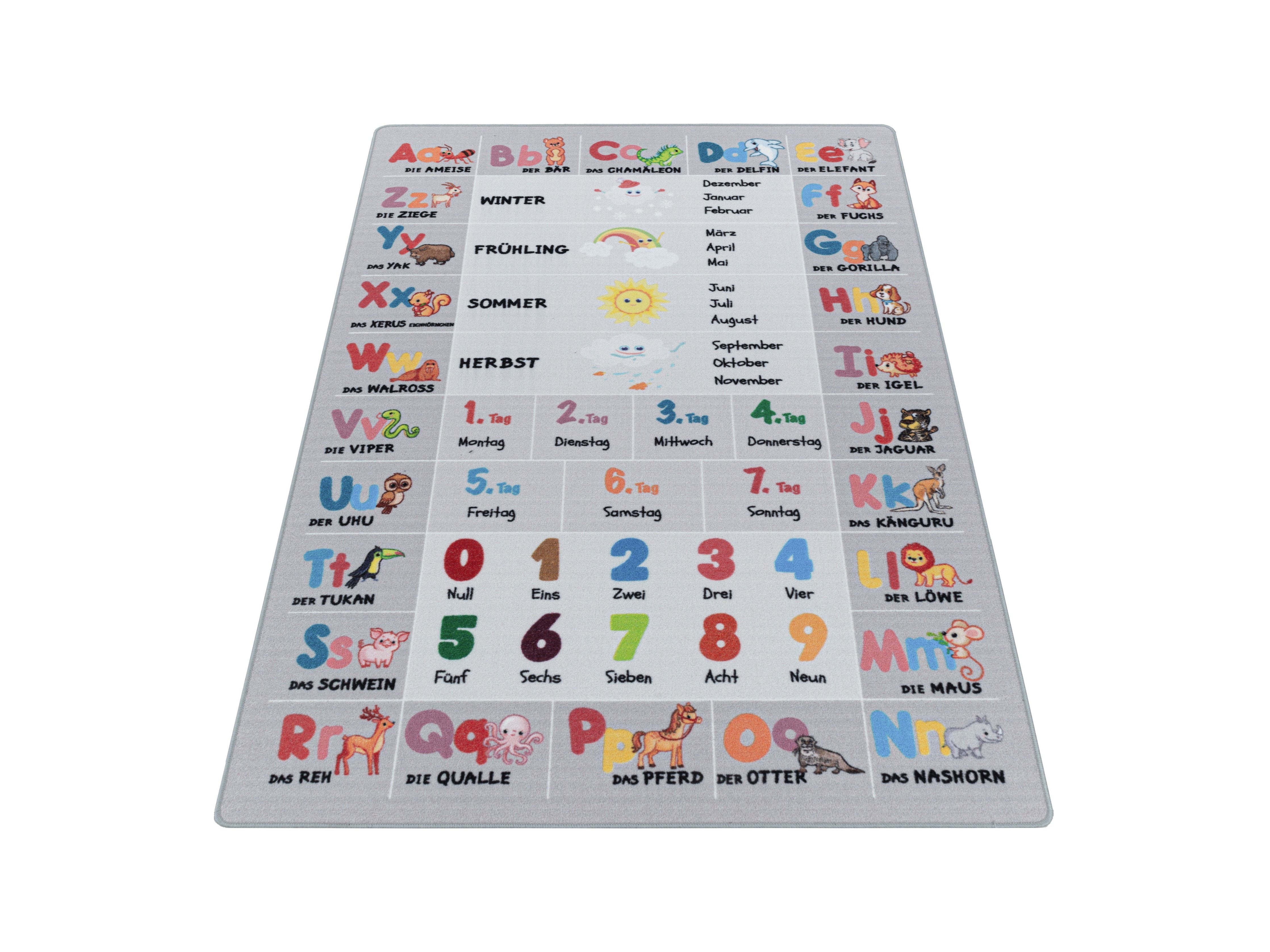 Kurzflor Kinderteppich Spielteppich Teppich Buchstaben Zahlen Jahreszeiten Grau
