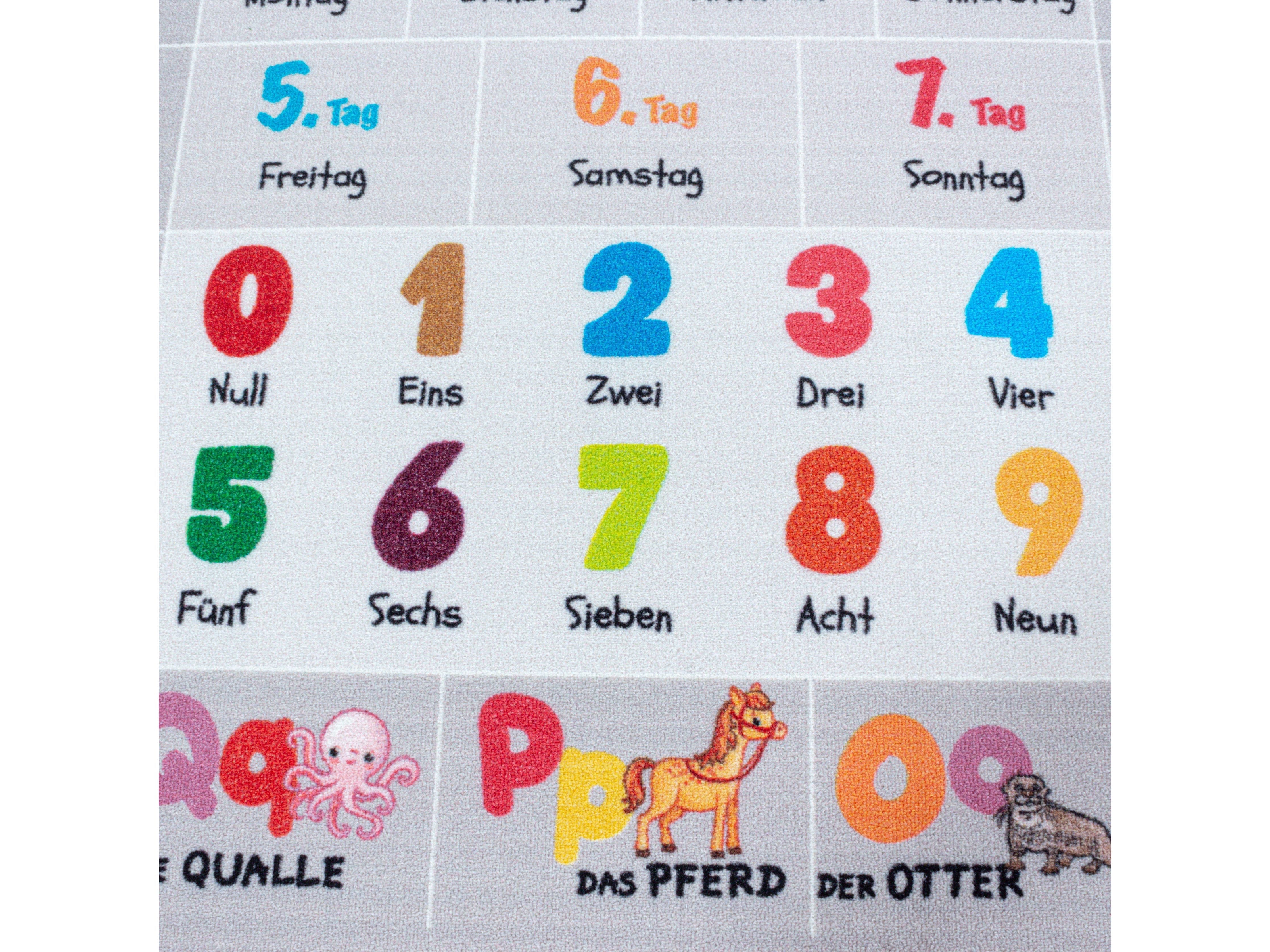 Kurzflor Kinderteppich Spielteppich Teppich Buchstaben Zahlen Jahreszeiten Grau