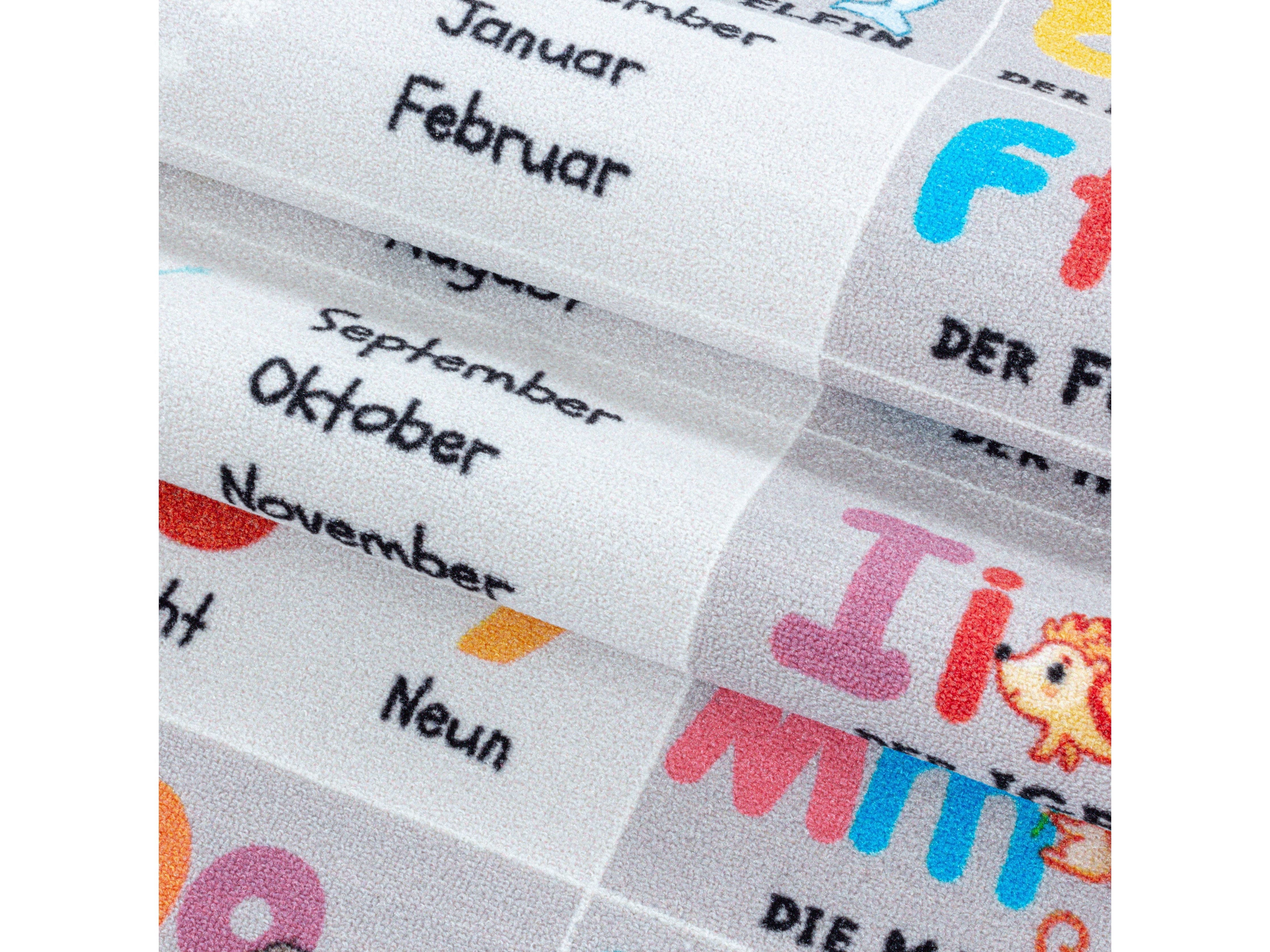 Kurzflor Kinderteppich Spielteppich Teppich Buchstaben Zahlen Jahreszeiten Grau