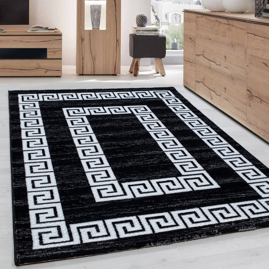 Modern designer rug for living room with Versace pattern, mottled black and white border