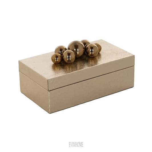 Aufbewahrungsbox Norah (Gold) Evimhome