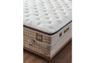 Bambi- Cotton Master Set - H3 Bambi