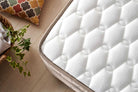 Bambi - Oviedo Set - H3-H4 Bambi