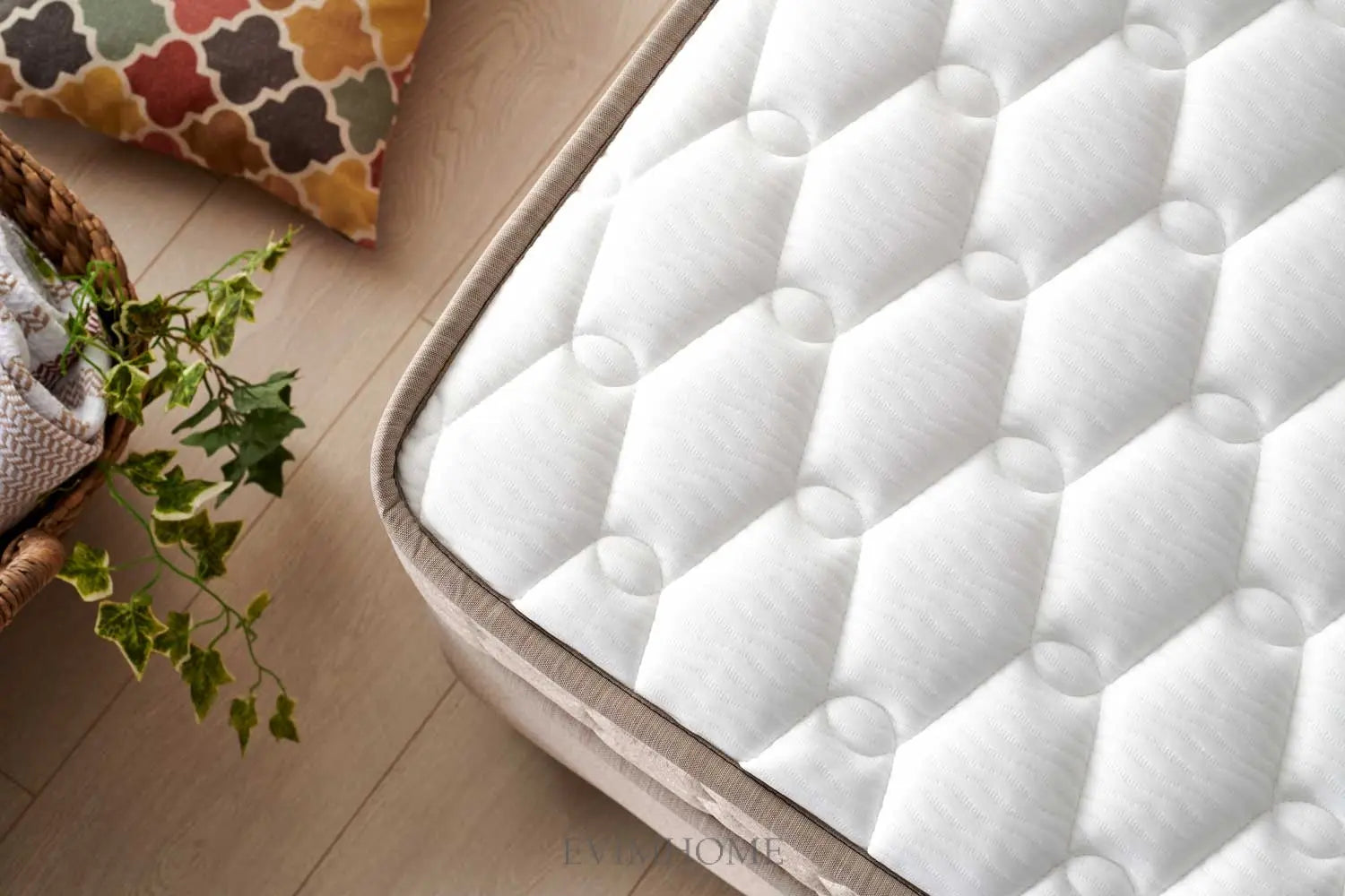 Bambi - Oviedo Set - H3-H4 Bambi