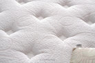 Bambi - Pinky Set - H3 Bambi