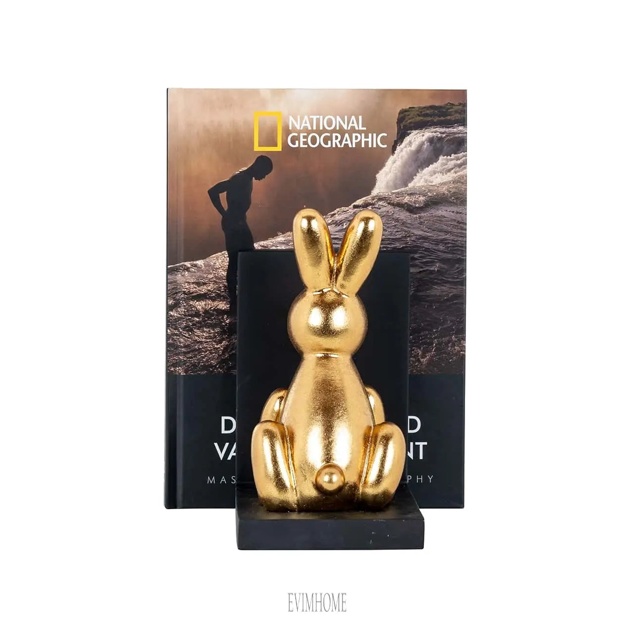 Bücher Standard Cony (Schwarz/Gold) Evimhome